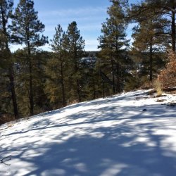 Custom Gambier with Garage -  Southwest Colorado