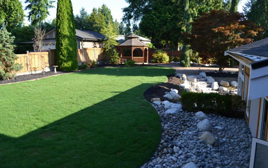 Burnaby Renovation Landscaping Update