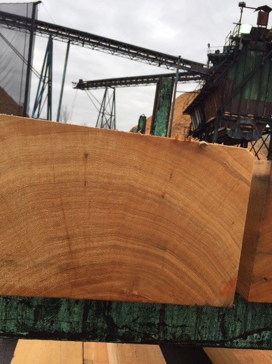 FOHC timber foch timber