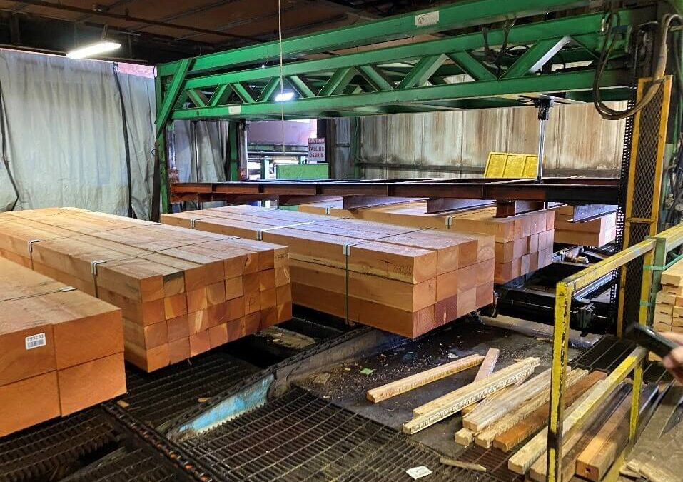 Visit to Tamlin’s Timber Mill