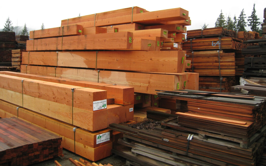 Lumber Prices Bottoming Now!