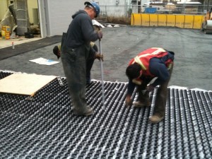 Tamlin Homes Staff Parking 