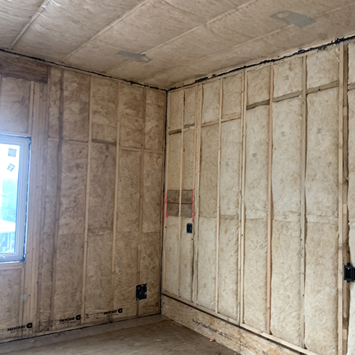 Bat Insulation in wall and ceiling
