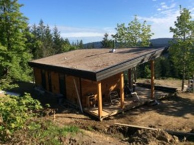 green-roof-house01